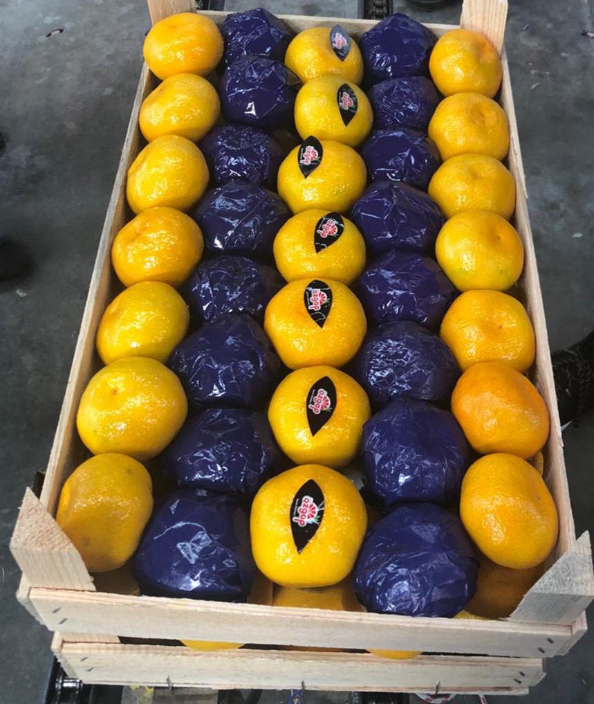 Products Ambalaj içindeki limon çeşitleri