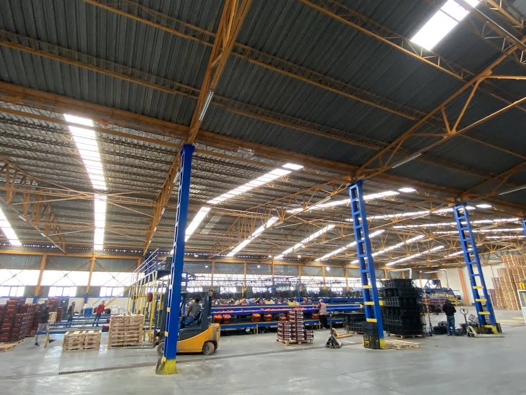 Narenciye tasnif hattı ve çalışma alanı, Meypark tesisi / Citrus sorting line and work area at the Meypark facility