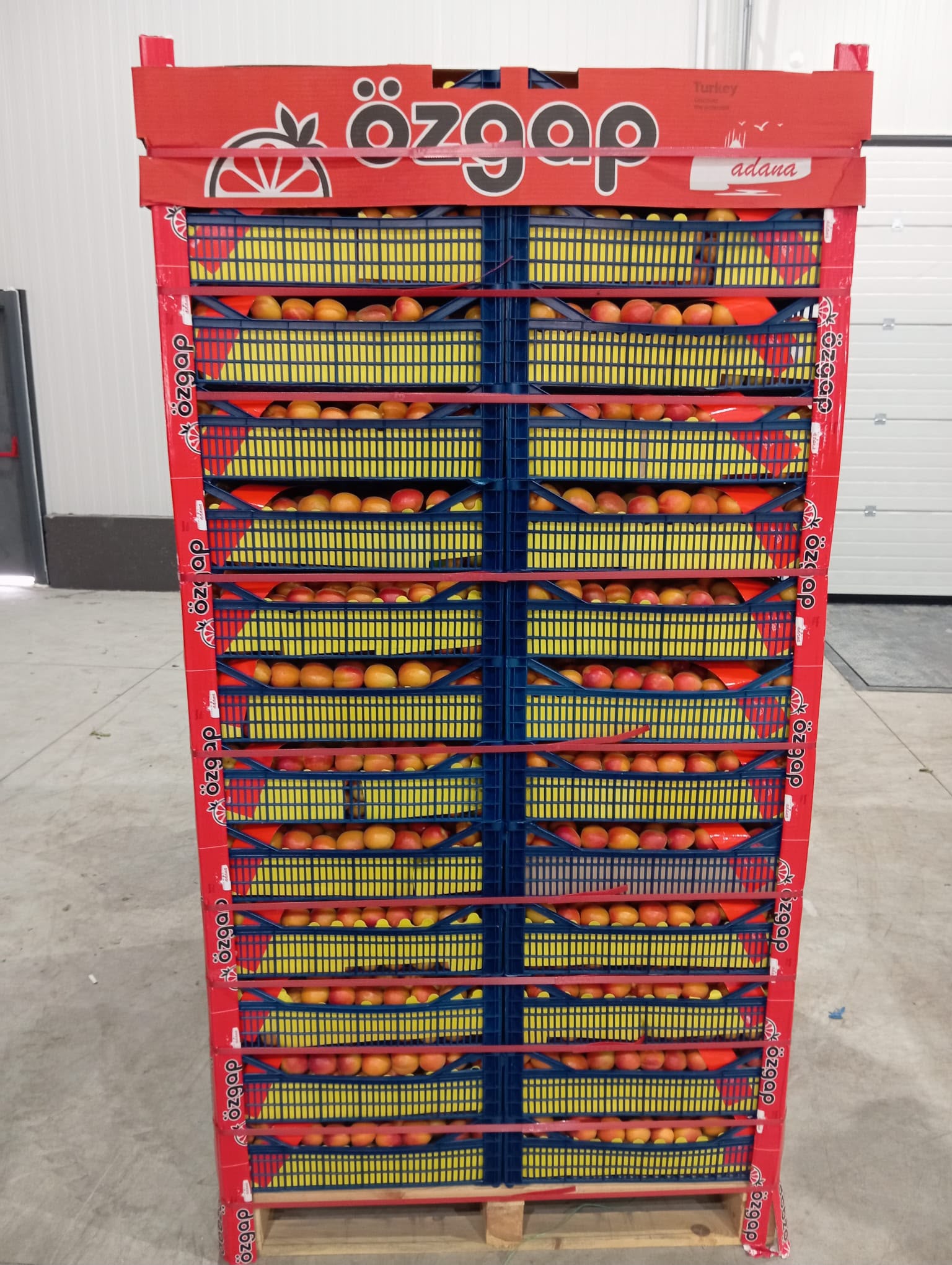 ÖZGAP markalı sevkiyata hazırlanan ürün kasaları / ÖZGAP branded produce crates prepared for shipment